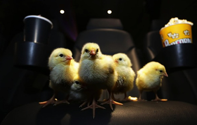 Chick flick