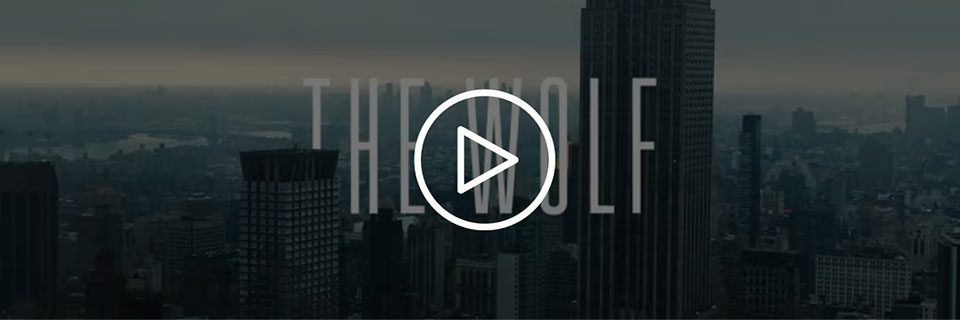 HP – The Wolf HP – The Wolf